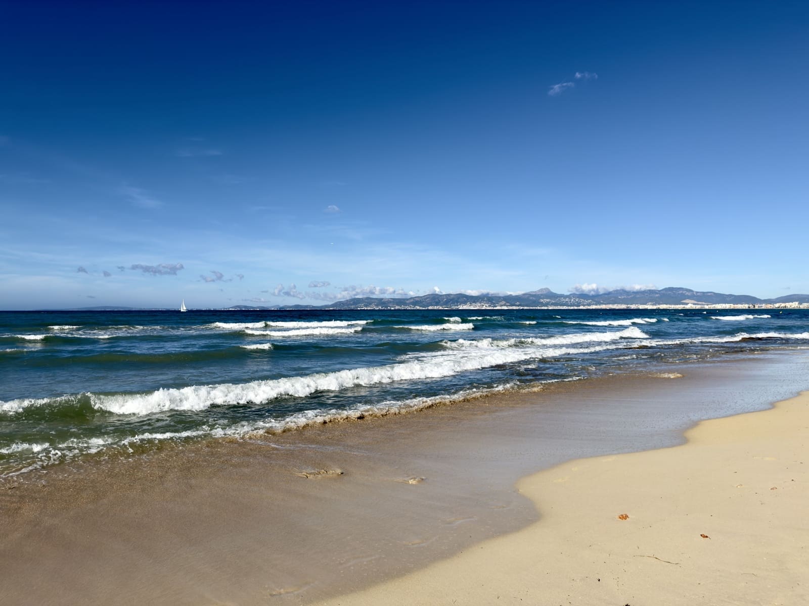 3 quarto Apartamento para arrendar em Palma de Mallorca - 2 100 € (Ref: 9618089)