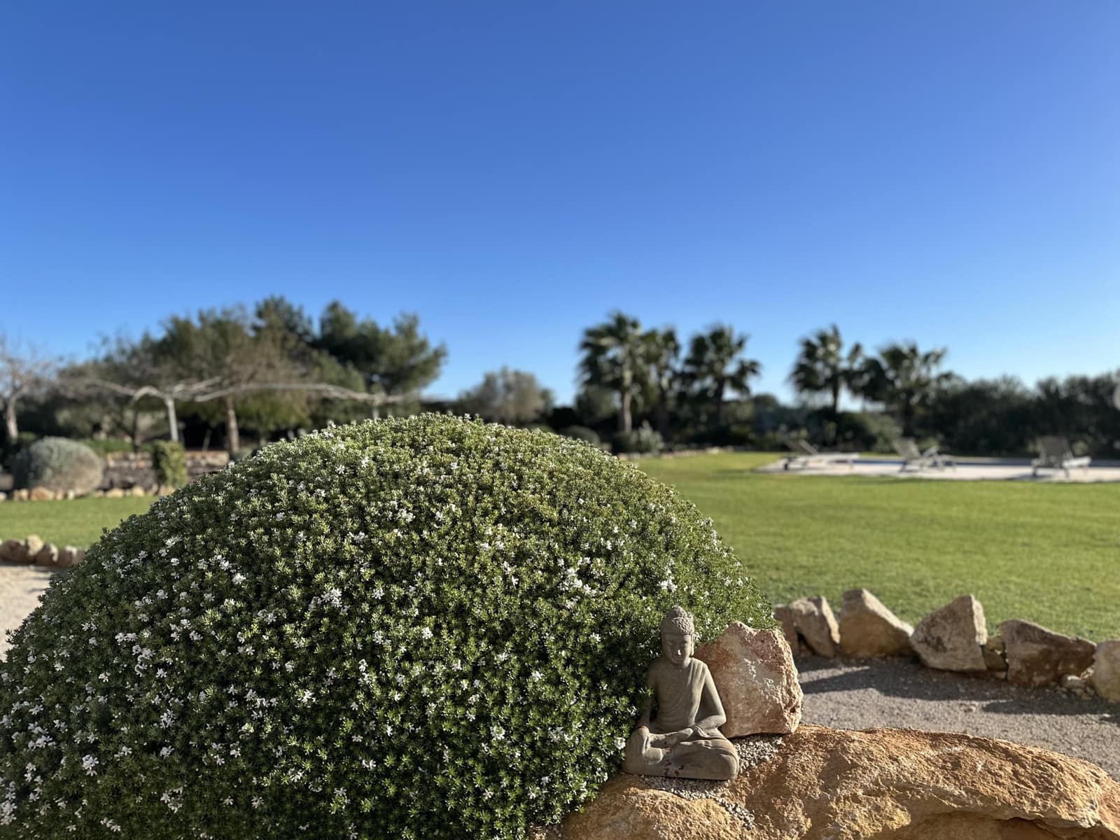 Finca/Casa Rural de 4 habitaciones en Ses Salines en venta con piscina garaje - 2.850.000 € (Ref: 9622923)