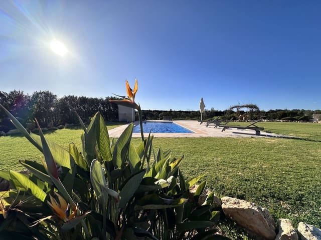 Finca/Casa Rural de 4 habitaciones en Ses Salines en venta con piscina garaje - 2.850.000 € (Ref: 9622923)