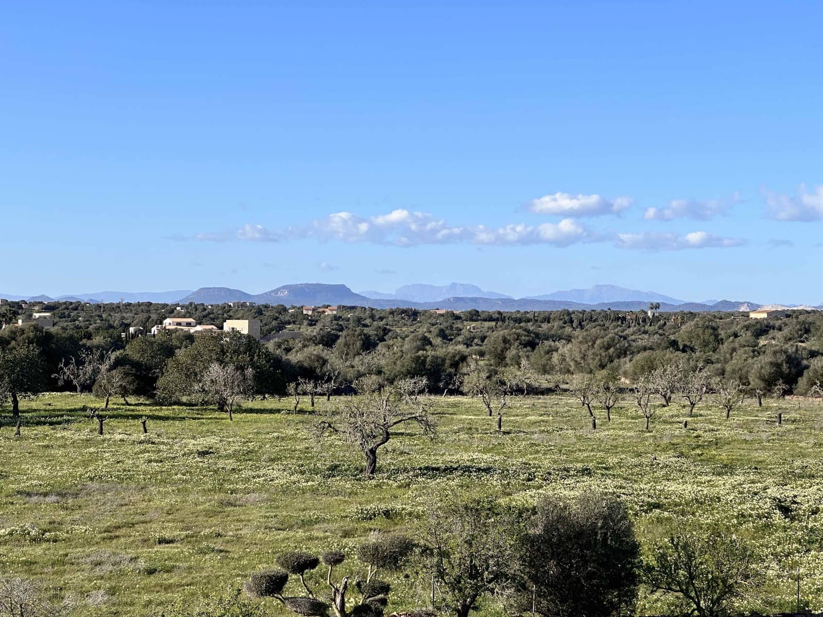 Finca/Casa Rural de 4 habitaciones en Ses Salines en venta con piscina garaje - 2.850.000 € (Ref: 9622923)