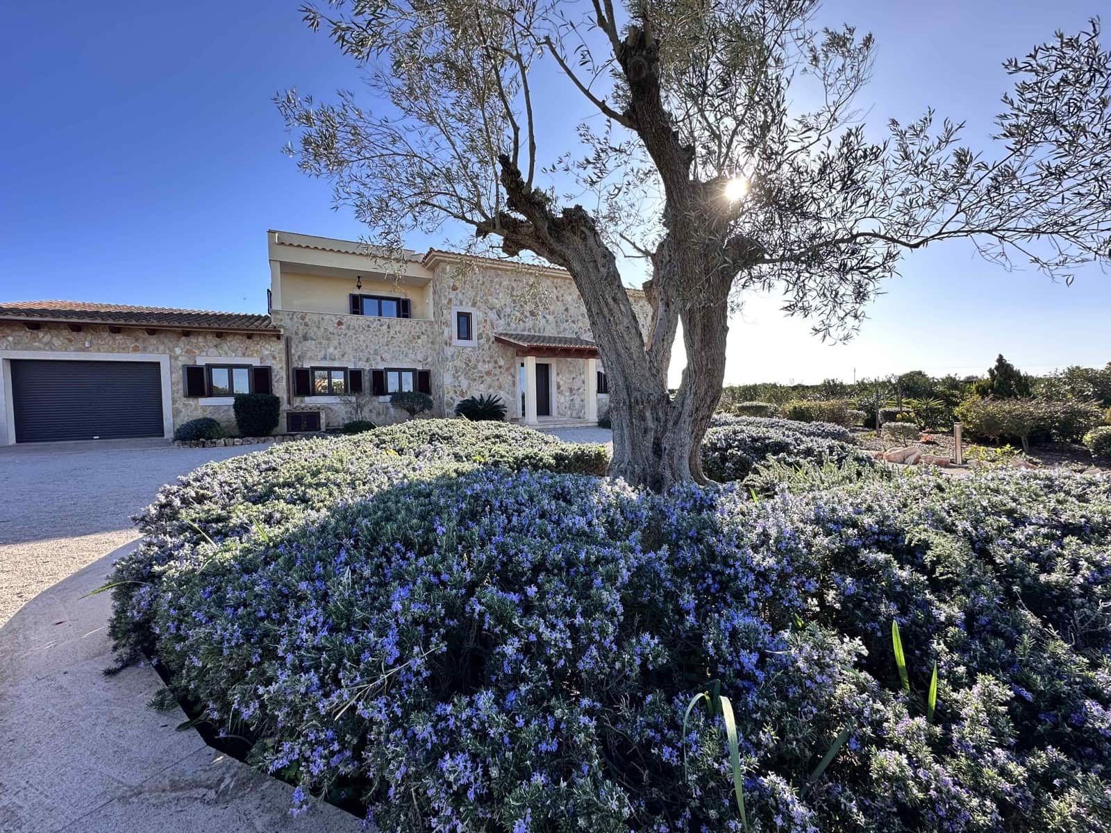 Finca/Casa Rural de 4 habitaciones en Ses Salines en venta con piscina garaje - 2.850.000 € (Ref: 9622923)