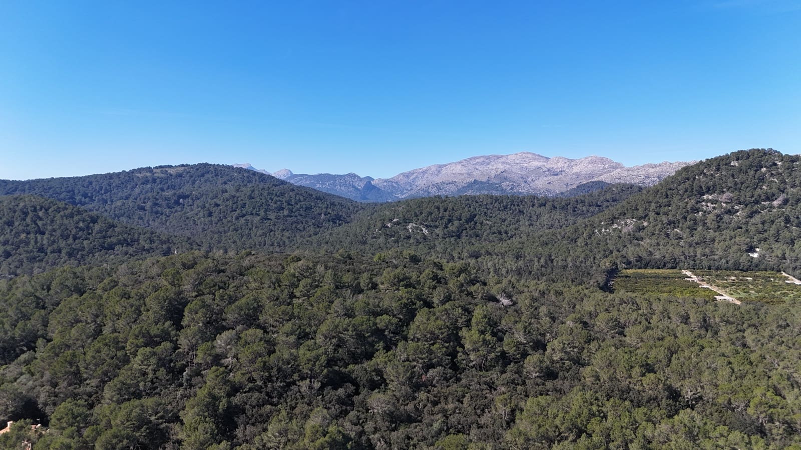 Grond te koop in Sa Pobla - € 324.000 (Ref: 9624193)