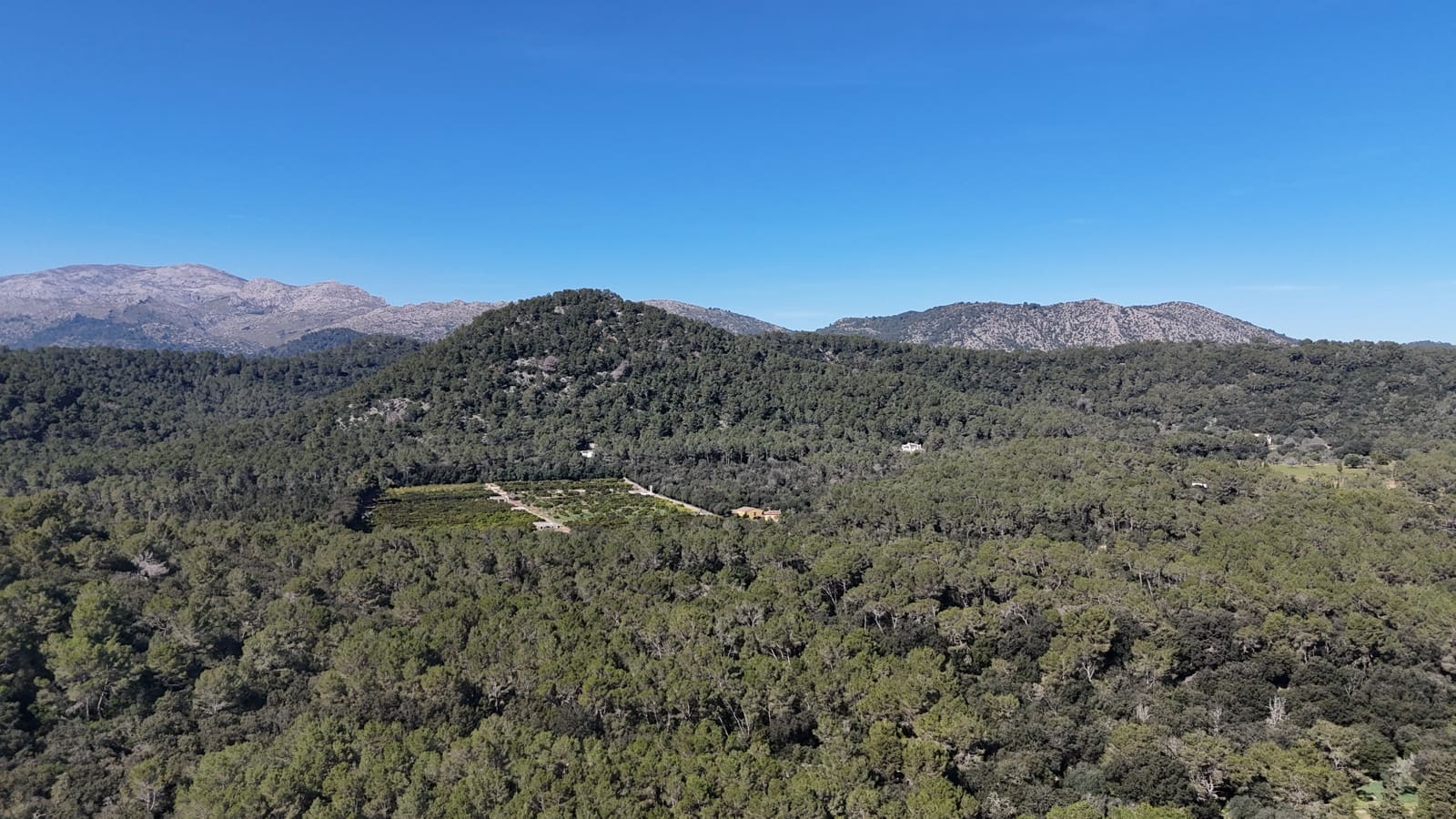 Grond te koop in Sa Pobla - € 324.000 (Ref: 9624193)