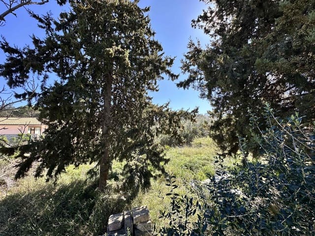 Grond te koop in Sa Pobla - € 324.000 (Ref: 9624193)