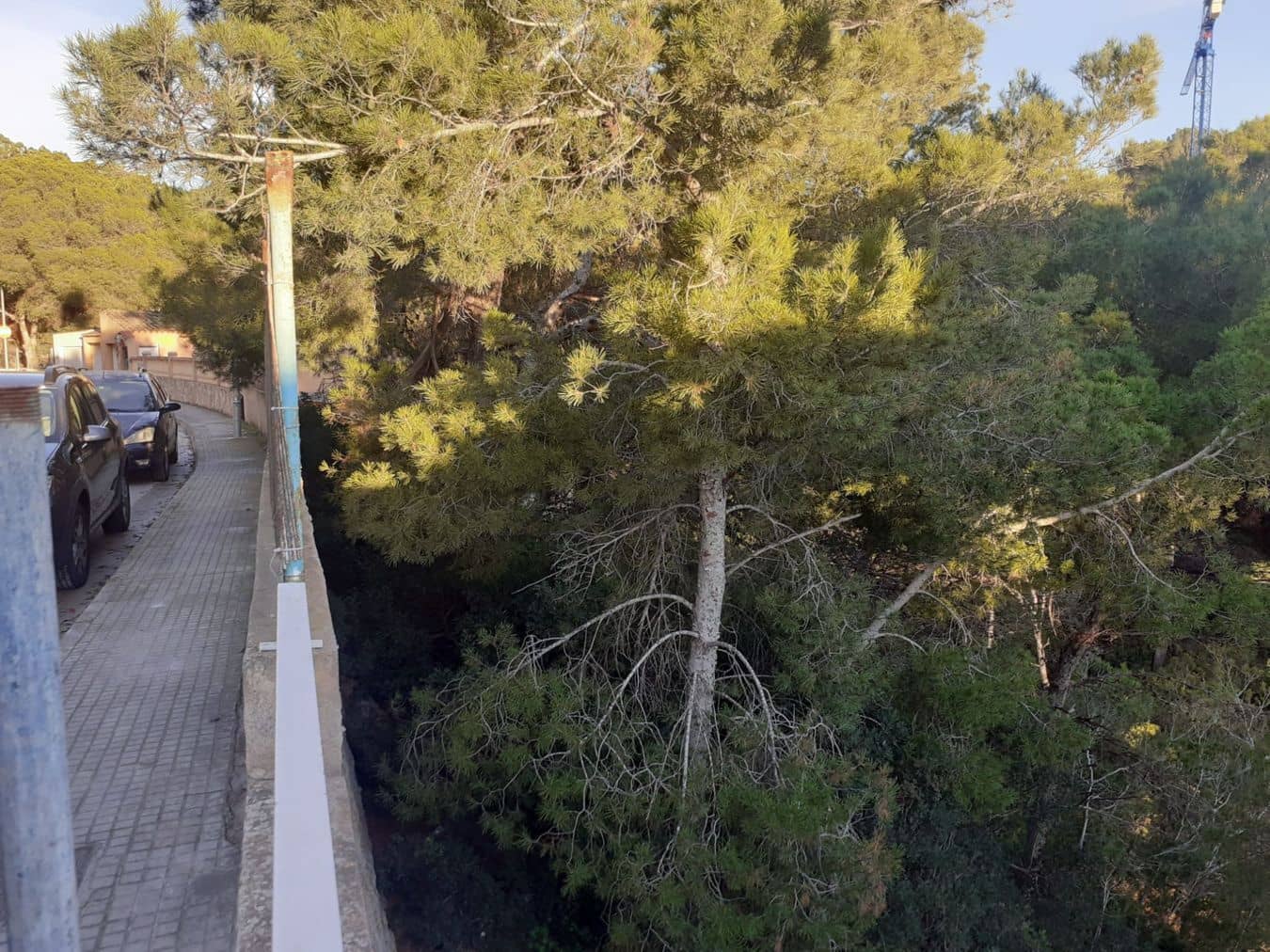 3 slaapkamer Villa te koop in Costa de la Calma met zwembad garage - € 3.300.000 (Ref: 9626311)