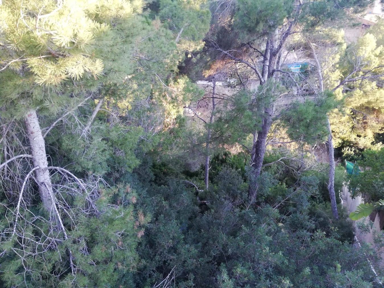 3 slaapkamer Villa te koop in Costa de la Calma met zwembad garage - € 3.300.000 (Ref: 9626311)