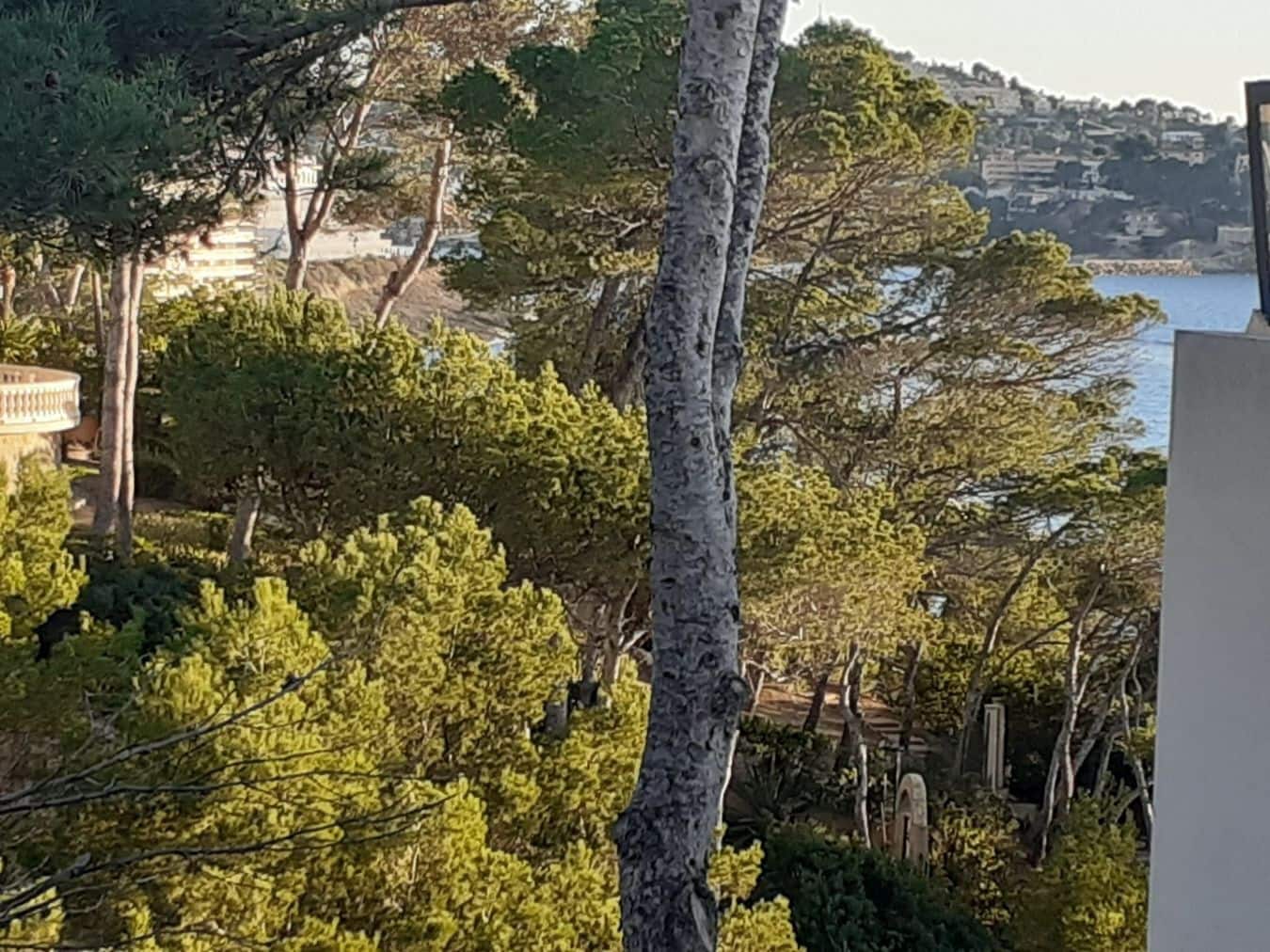 3 makuuhuone Huvila myytävänä paikassa Costa de la Calma mukana uima-altaan 
autotalli - 3 300 000 € (Ref: 9626483)