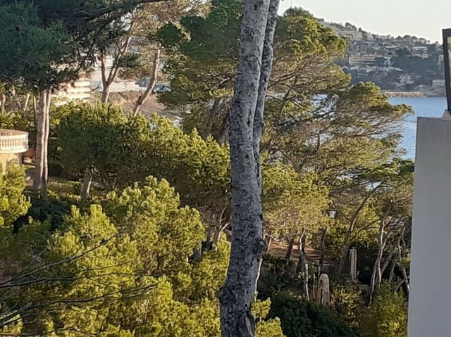 3 makuuhuone Huvila myytävänä paikassa Costa de la Calma, Calvià mukana uima-altaan 
autotalli - 3 300 000 € (Ref: 9626483)