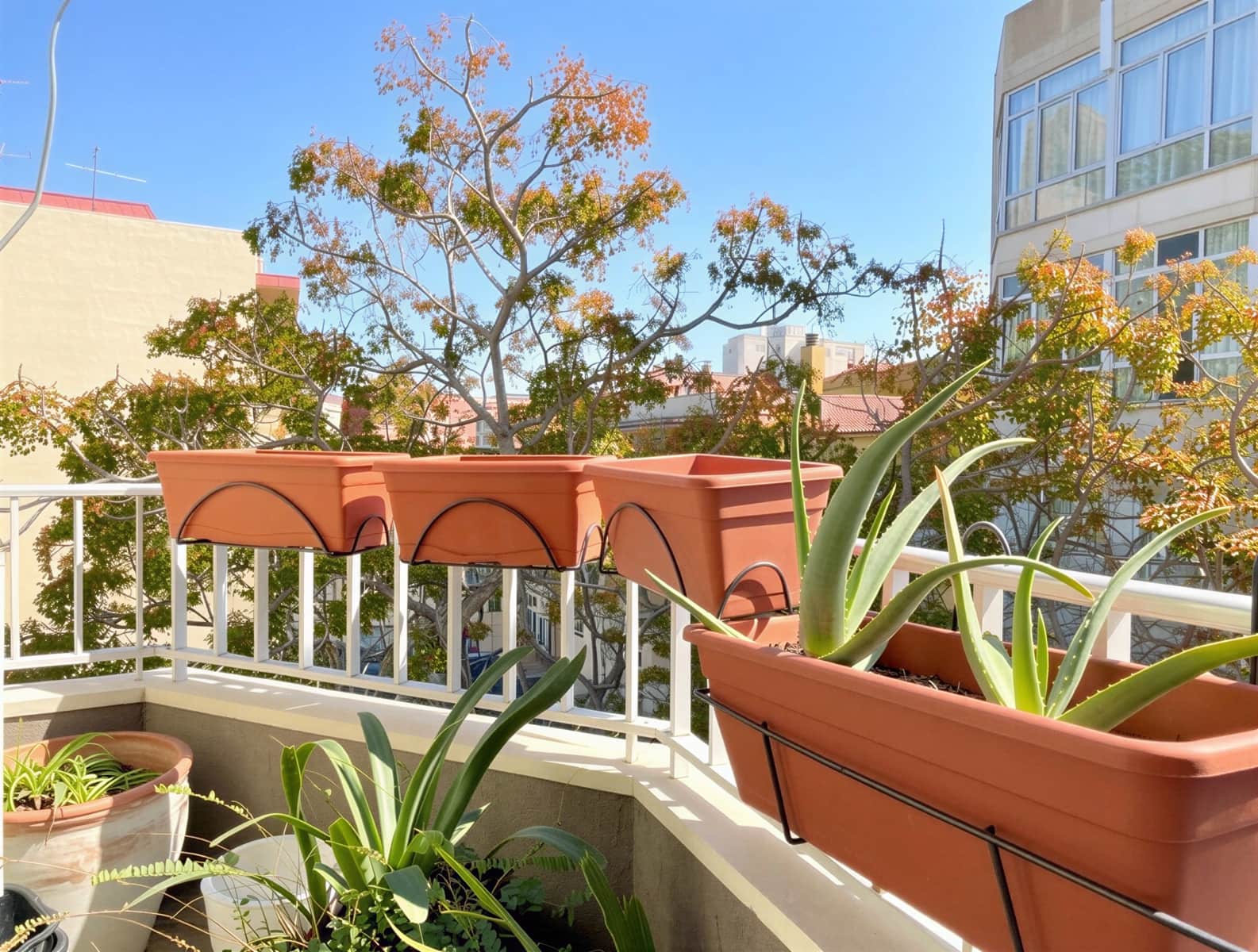 2 Zimmer Apartment zu verkaufen in Palma de Mallorca - 645.000 € (Ref: 9632659)