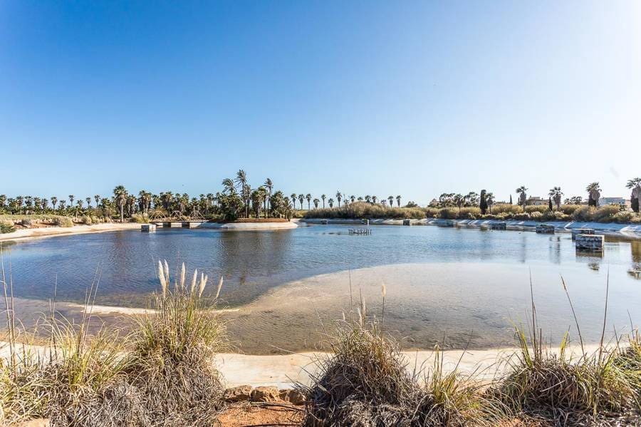 4 quarto Quinta/Casa Rural para venda em Ses Salines com garagem - 10 600 000 € (Ref: 9639658)