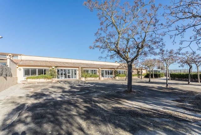 4 quarto Quinta/Casa Rural para venda em Ses Salines com garagem - 10 600 000 € (Ref: 9639658)