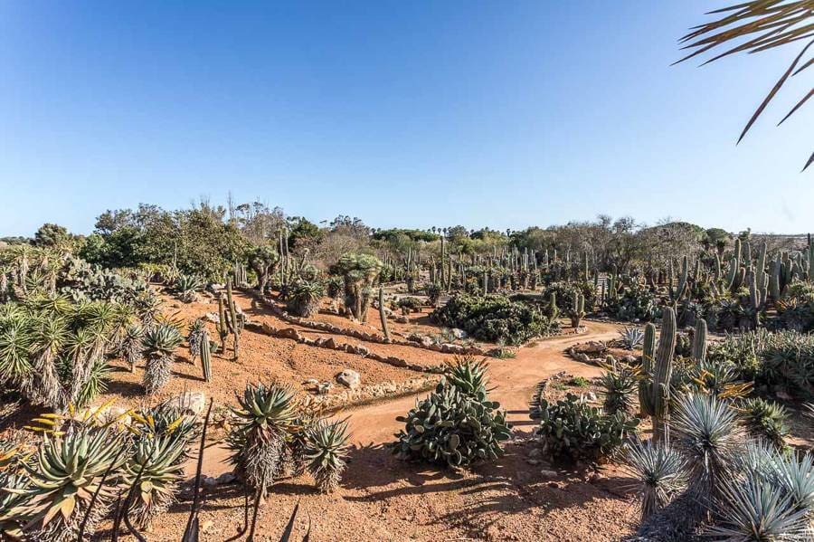 4 quarto Quinta/Casa Rural para venda em Ses Salines com garagem - 10 600 000 € (Ref: 9639658)