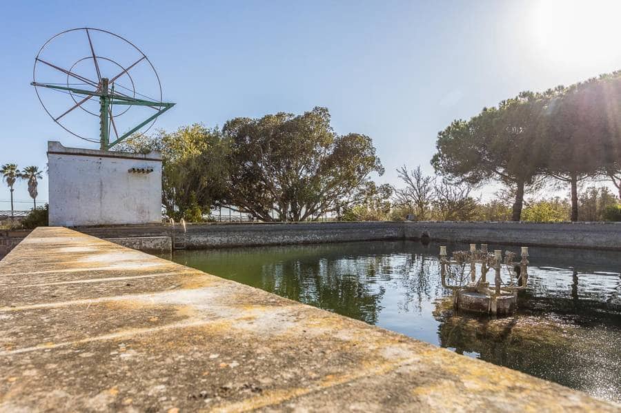 4 quarto Quinta/Casa Rural para venda em Ses Salines com garagem - 10 600 000 € (Ref: 9639658)