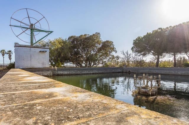 4 quarto Quinta/Casa Rural para venda em Ses Salines com garagem - 10 600 000 € (Ref: 9639658)