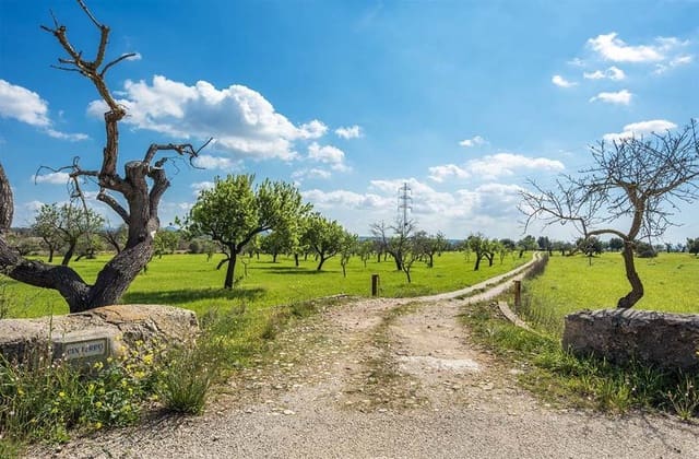 7 slaapkamer Finca/Landhuis te koop in Puntiró, Palma de Mallorca met garage - € 2.500.000 (Ref: 9639662)