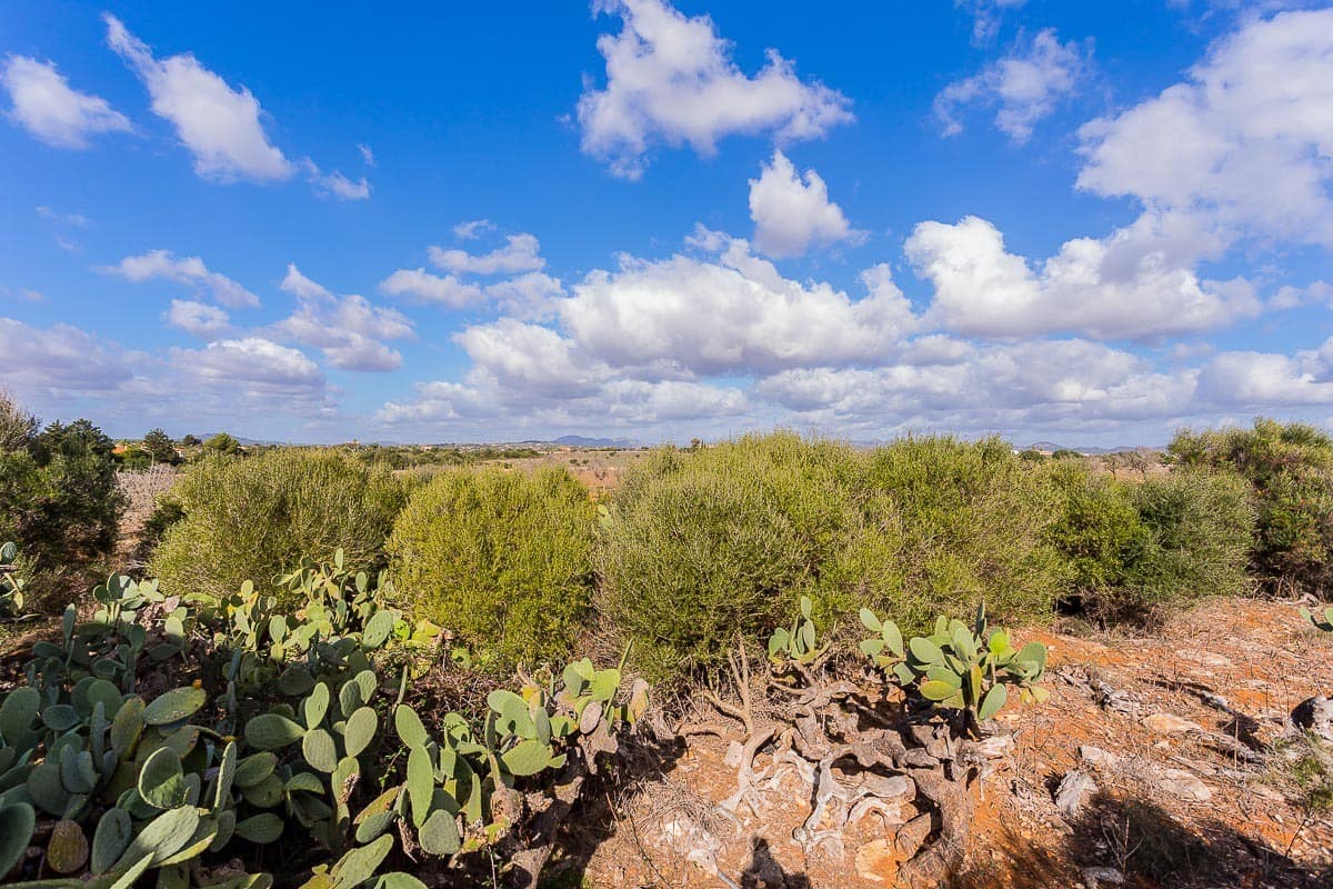 Finca/Casa Rural de 3 habitaciones en Portocristo / Port de Manacor en venta - 1.750.000 € (Ref: 9640989)