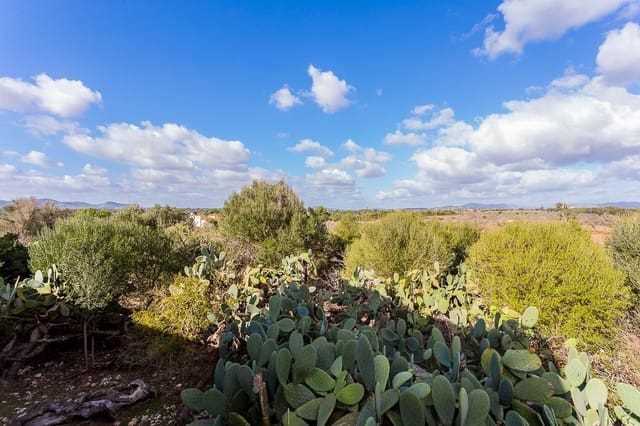 Finca/Casa Rural de 3 habitaciones en Portocristo / Port de Manacor, Manacor en venta - 1.750.000 € (Ref: 9640989)