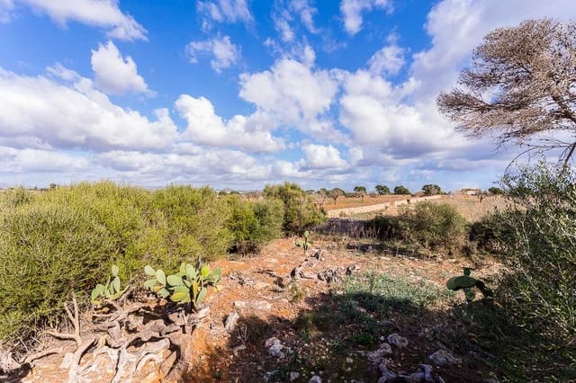 Finca/Casa Rural de 3 habitaciones en Portocristo / Port de Manacor, Manacor en venta - 1.750.000 € (Ref: 9640989)