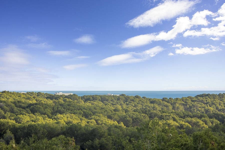 4 quarto Quinta/Casa Rural para venda em Manacor com piscina garagem - 1 600 000 € (Ref: 9640996)