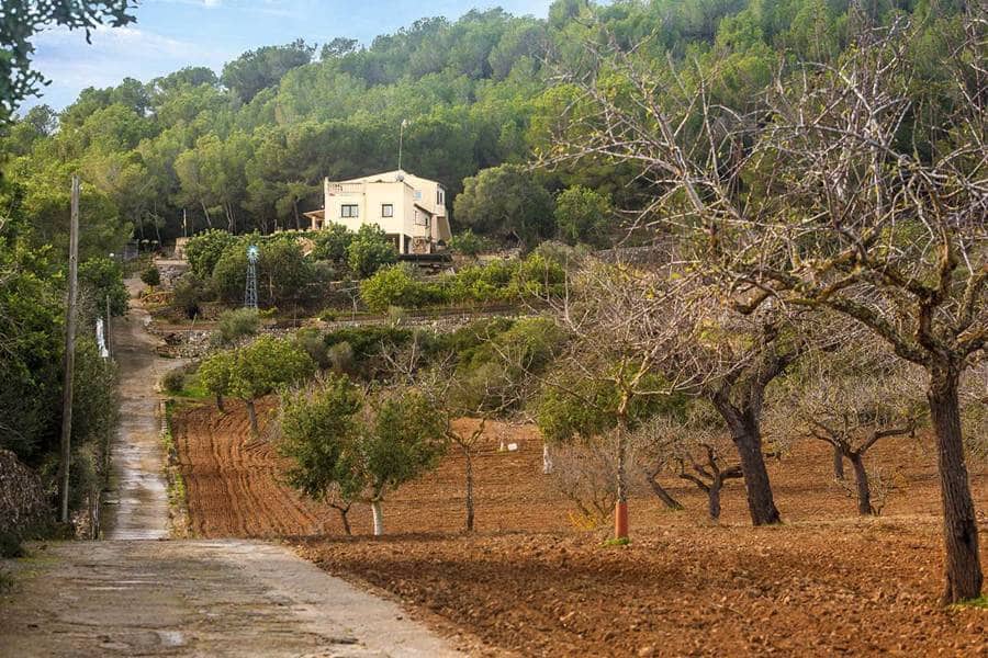 4 quarto Quinta/Casa Rural para venda em Manacor com piscina garagem - 1 600 000 € (Ref: 9640996)