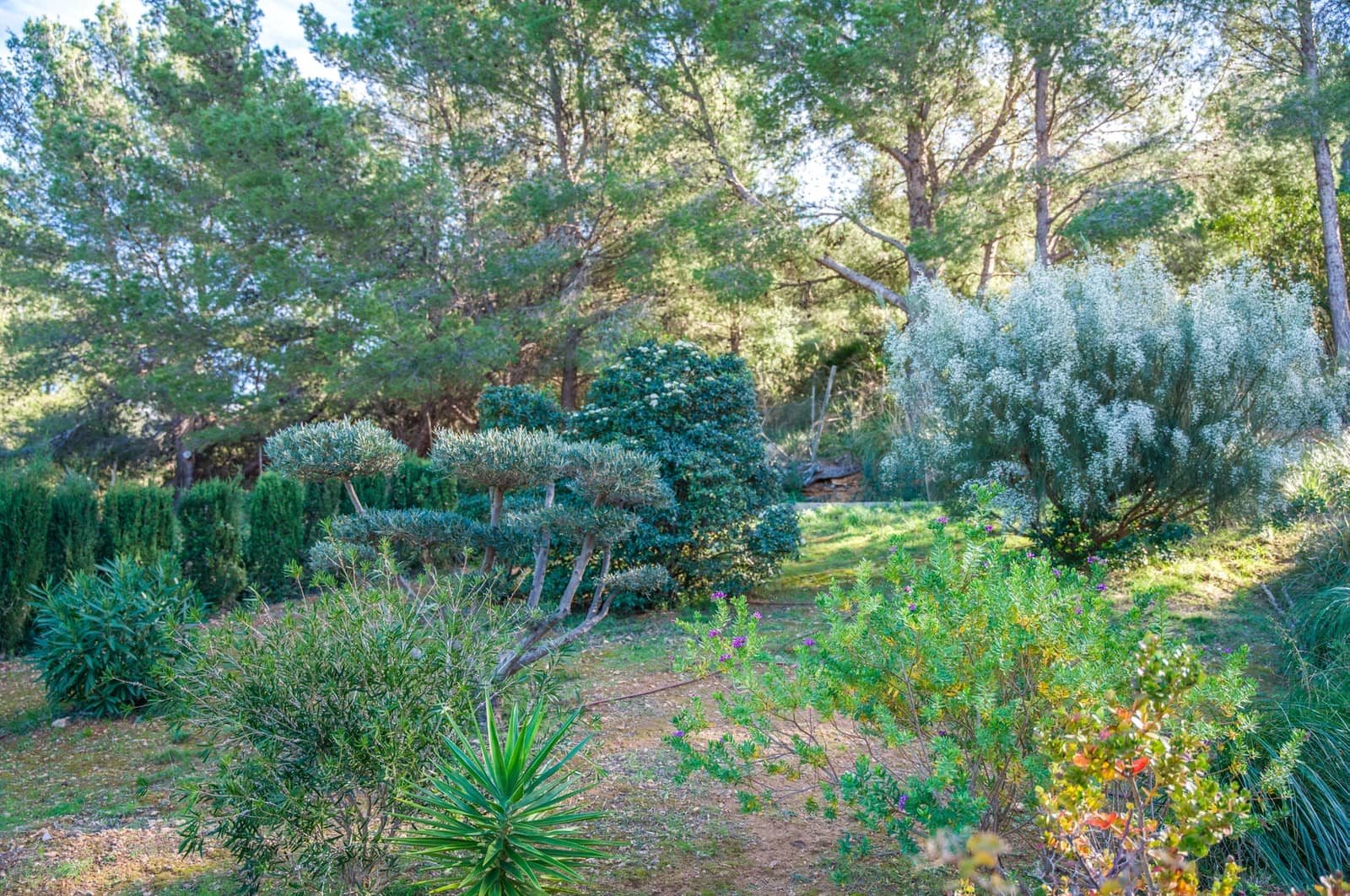 4 Zimmer Finca/Landgut zu verkaufen in Colonia de Sant Pere / Colonia de San Pedro mit Pool Garage - 1.695.000 € (Ref: 9650630)