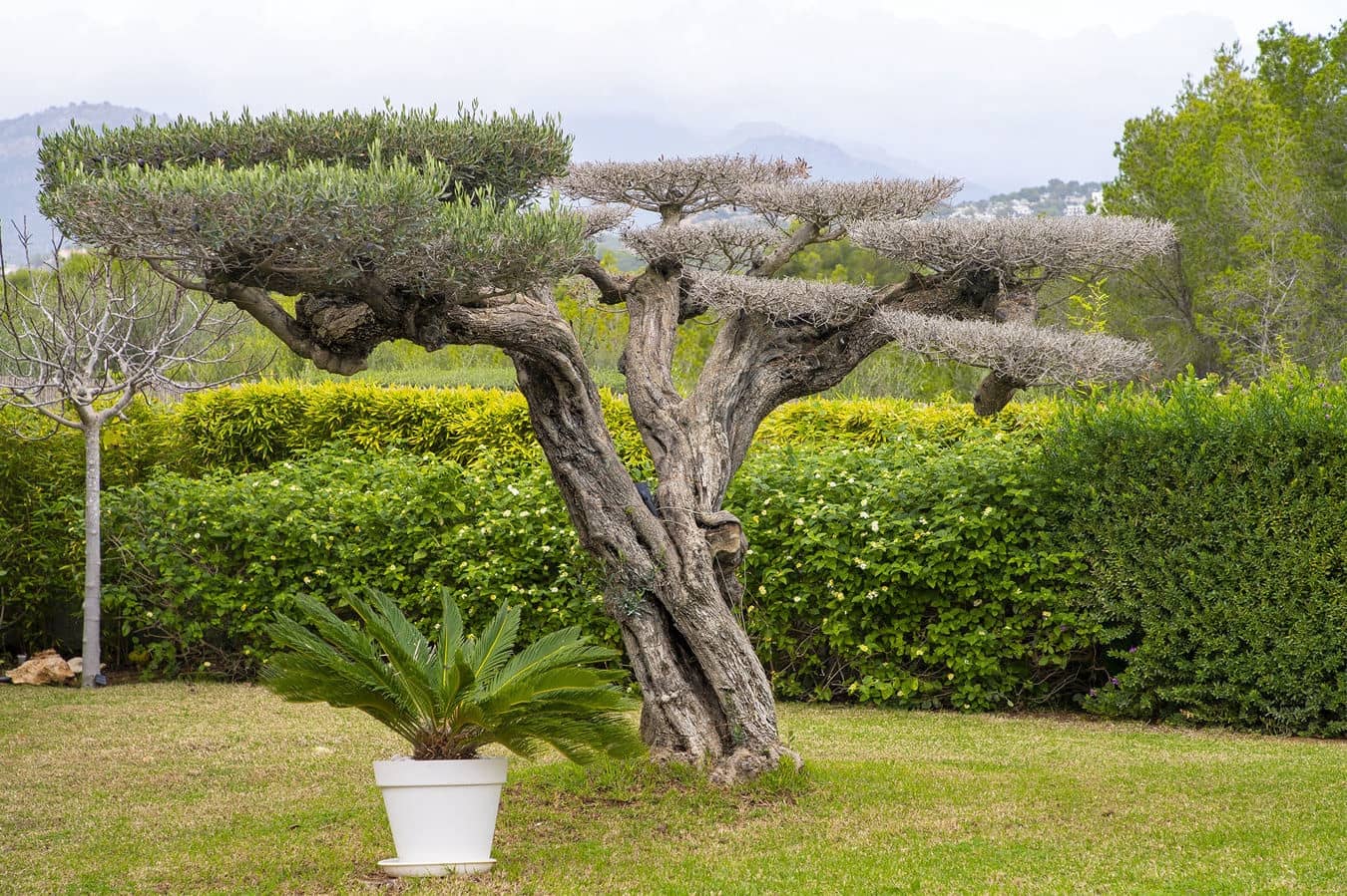 5 quarto Moradia para venda em Santa Ponsa com piscina garagem - 4 250 000 € (Ref: 9720564)