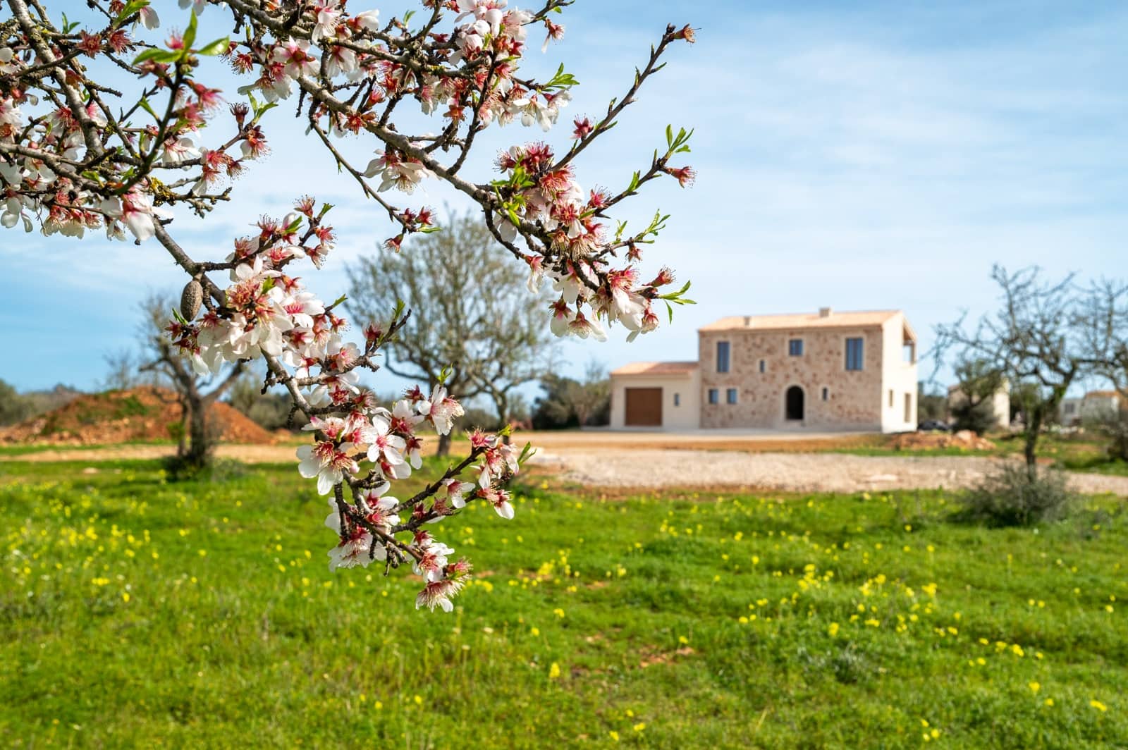 4 bedroom Finca/Country House for sale in Ses Salines with pool garage - € 1,990,000 (Ref: 9815103)