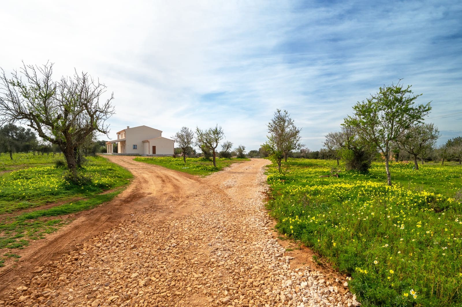 4 bedroom Finca/Country House for sale in Ses Salines with pool garage - € 1,990,000 (Ref: 9815103)