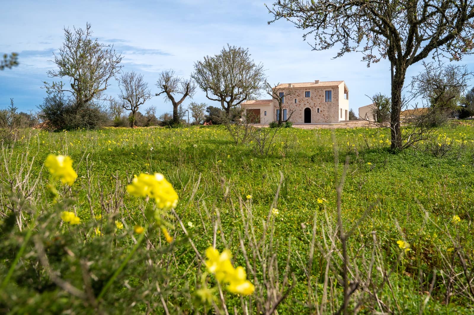 4 bedroom Finca/Country House for sale in Ses Salines with pool garage - € 1,990,000 (Ref: 9815103)