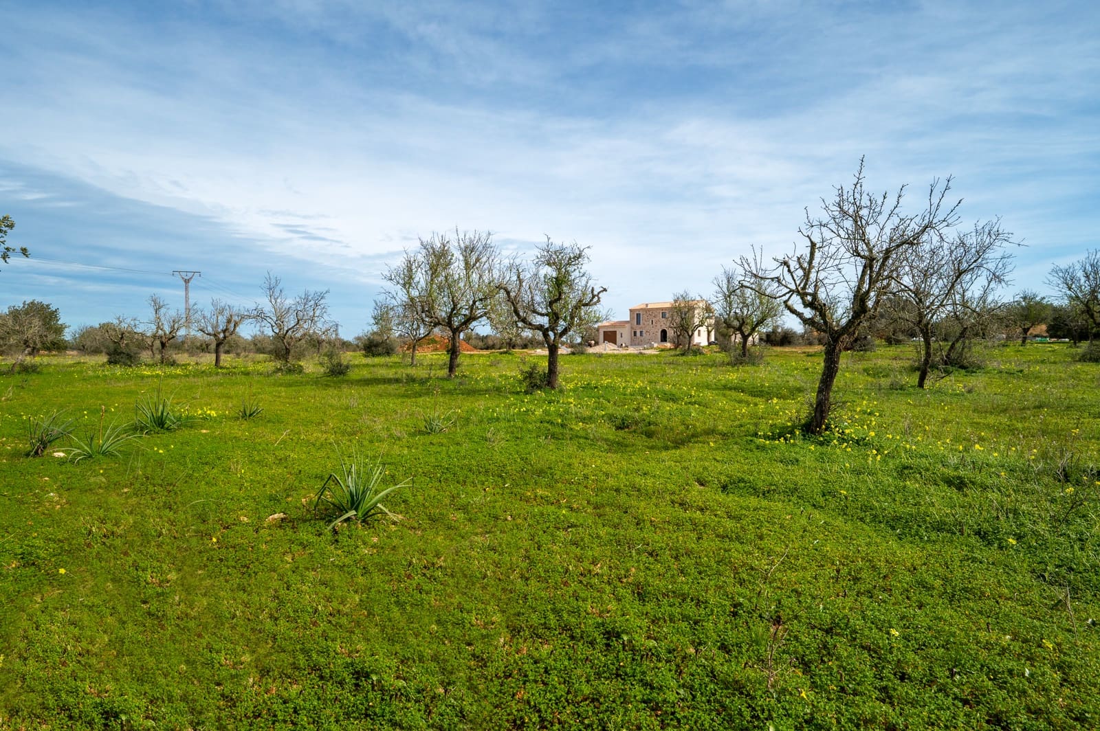 4 bedroom Finca/Country House for sale in Ses Salines with pool garage - € 1,990,000 (Ref: 9815103)
