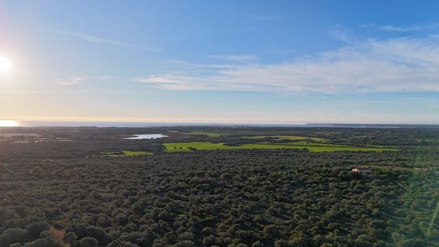 Ubebygd land til salgs i Ses Salines - € 990 000 (Ref: 9821665)