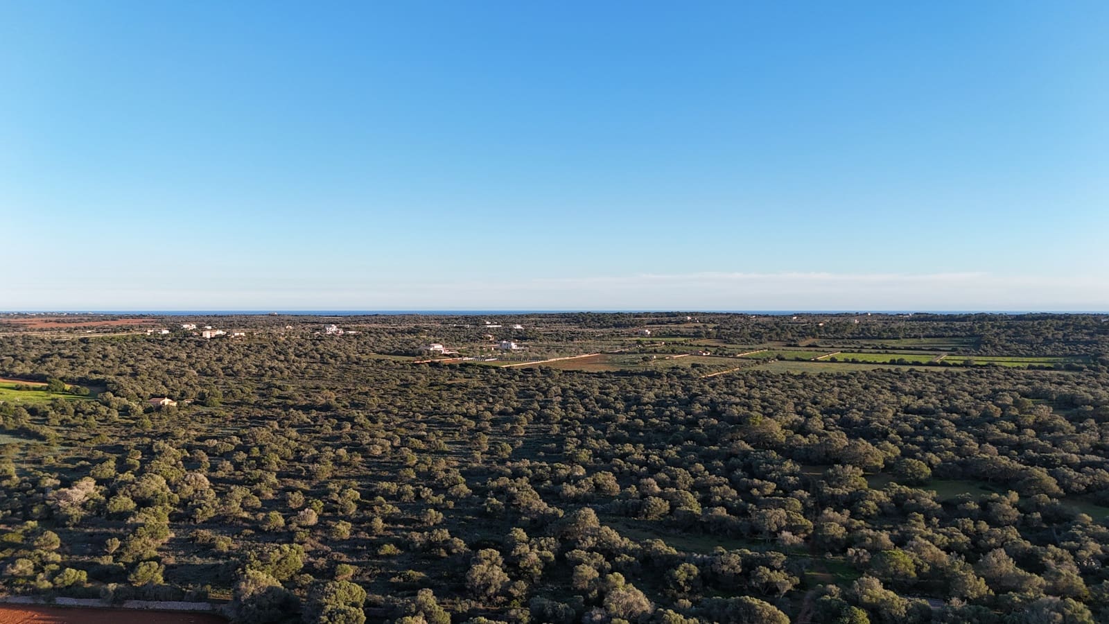 Undeveloped Land for sale in Ses Salines - € 990,000 (Ref: 9821665)