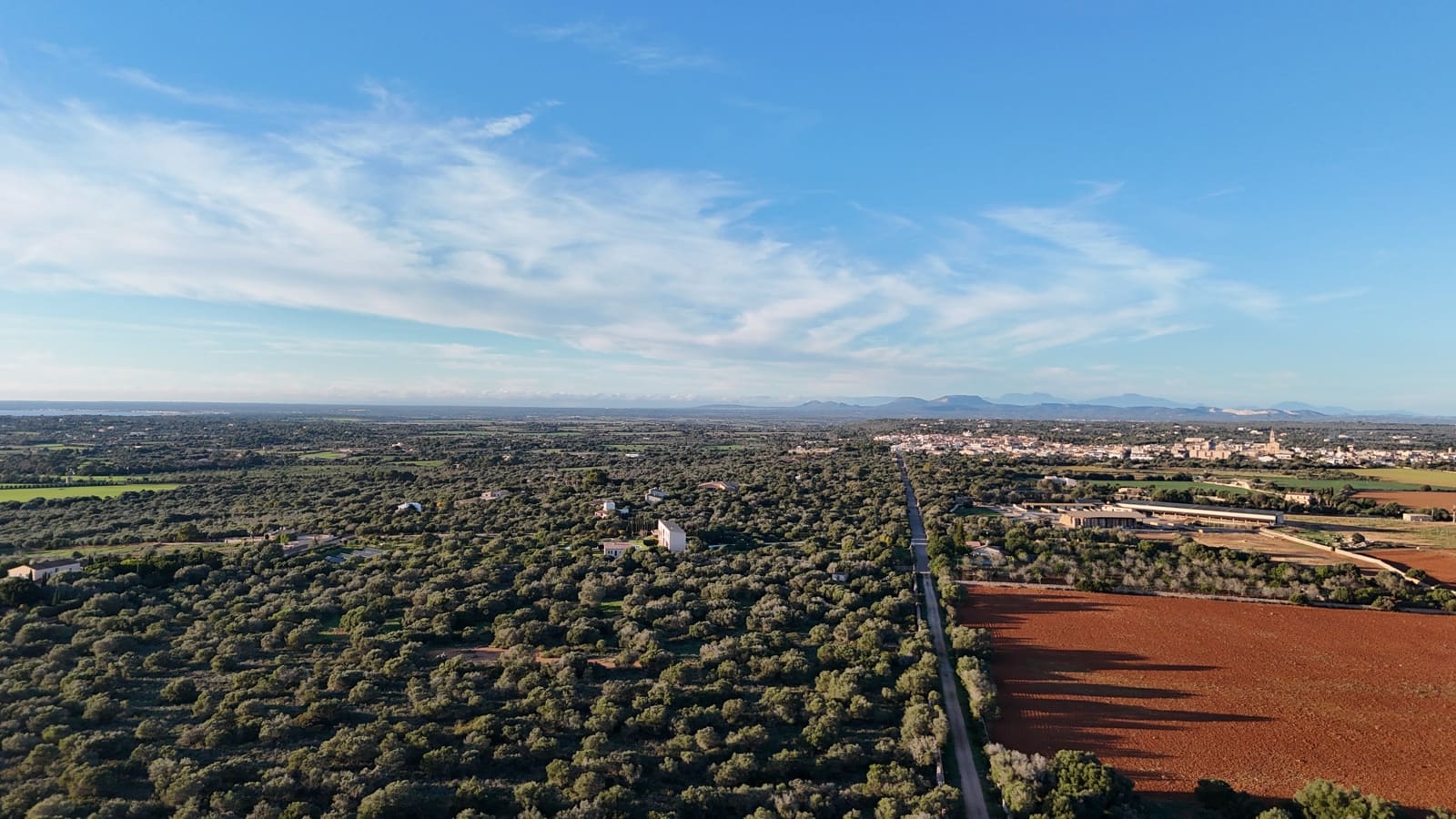 Undeveloped Land for sale in Ses Salines - € 990,000 (Ref: 9821665)