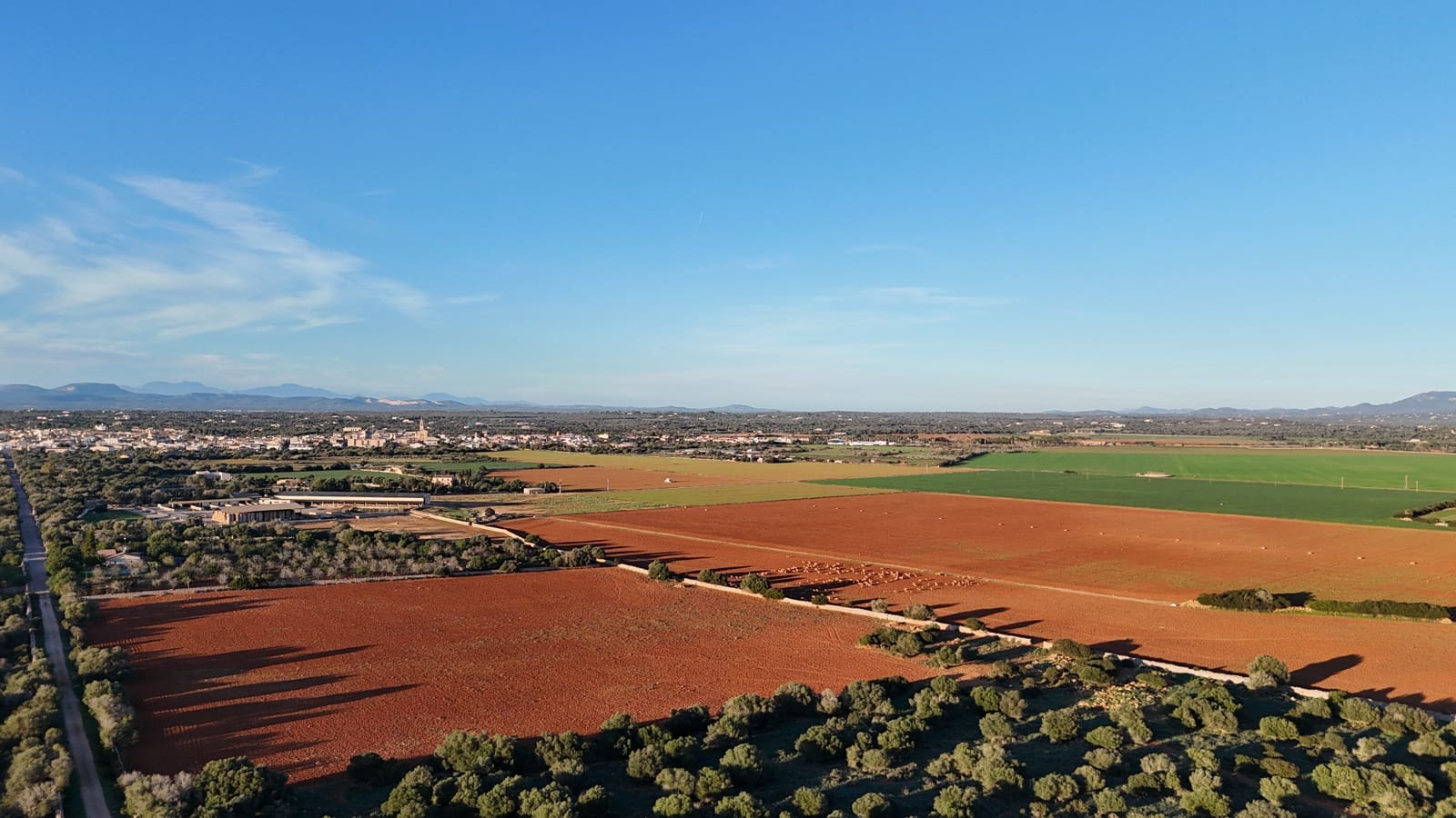 Undeveloped Land for sale in Ses Salines - € 990,000 (Ref: 9821665)