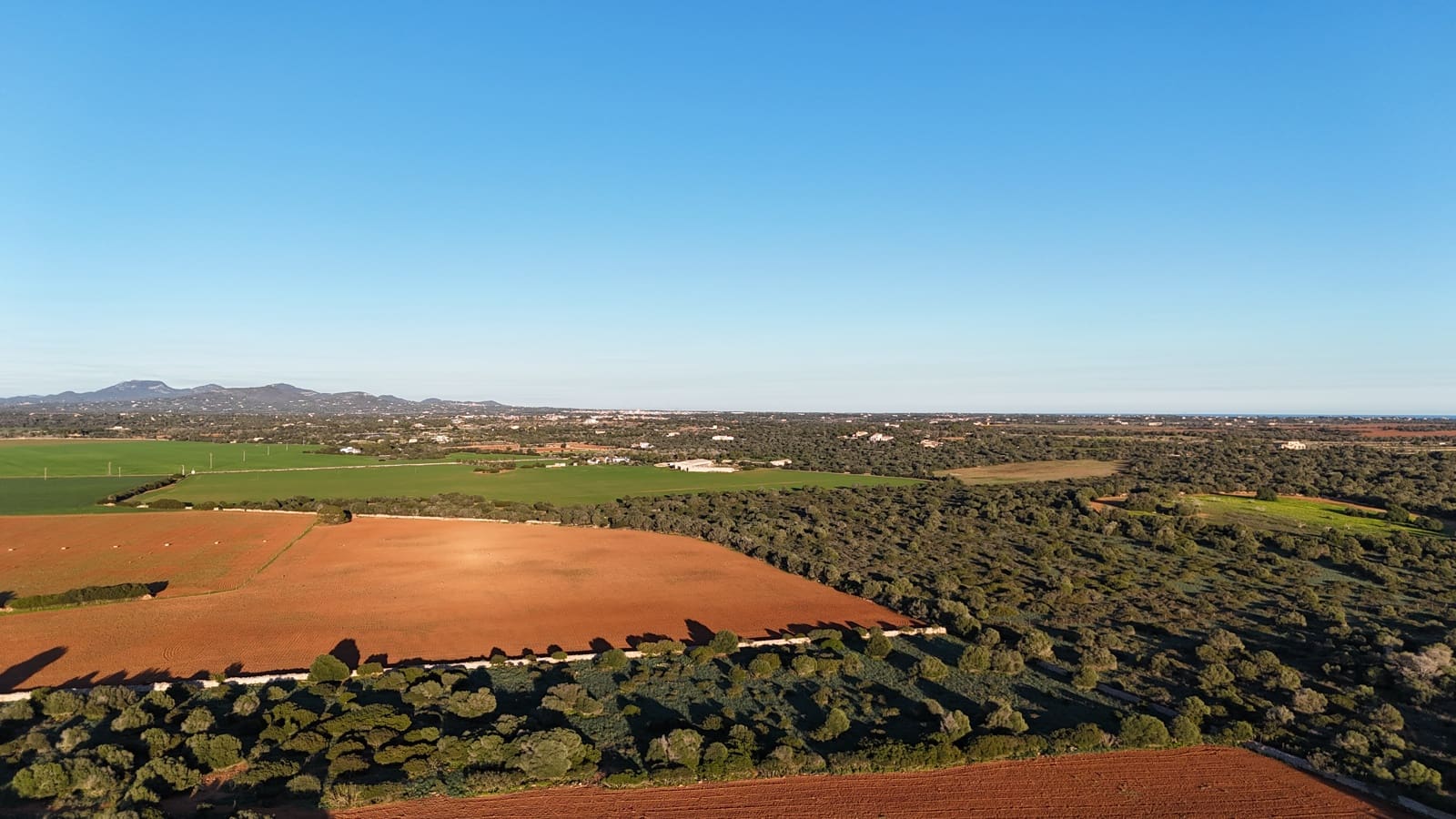 Undeveloped Land for sale in Ses Salines - € 990,000 (Ref: 9821665)