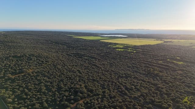 Ubebygd land til salgs i Ses Salines - € 990 000 (Ref: 9821665)