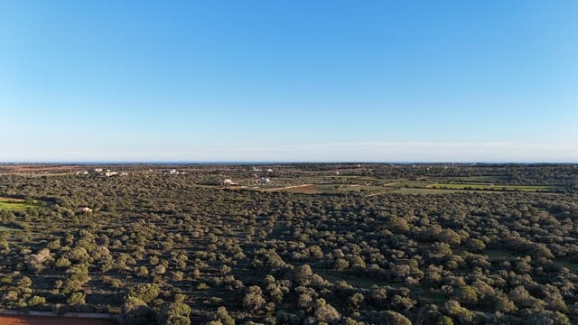 Ubebygd land til salgs i Ses Salines - € 990 000 (Ref: 9821665)