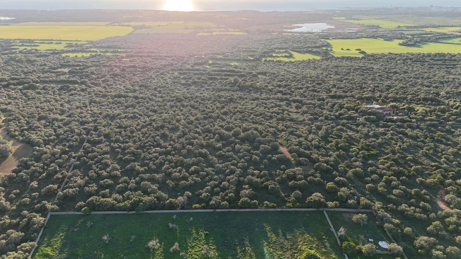 Undeveloped Land for sale in Ses Salines - € 990,000 (Ref: 9821665)
