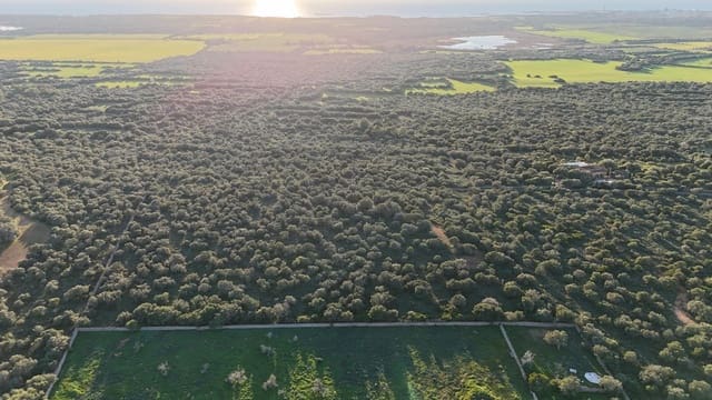 Ubebygd land til salgs i Ses Salines - € 990 000 (Ref: 9821665)