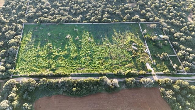 Ubebygd land til salgs i Ses Salines - € 990 000 (Ref: 9821665)
