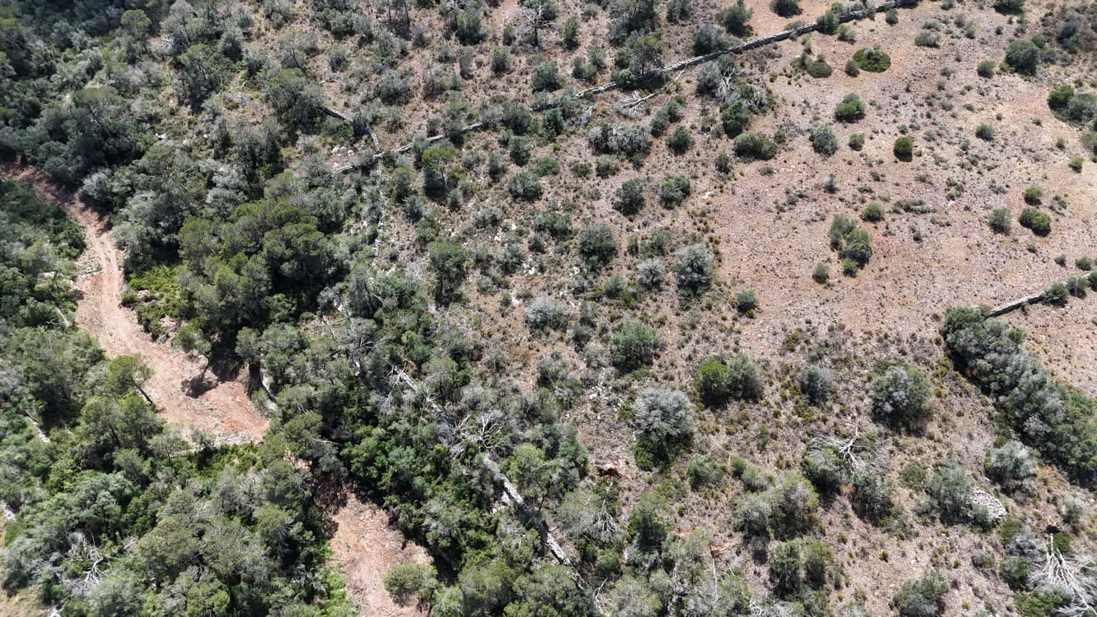 Undeveloped Land for sale in Cala Llombards - € 850,000 (Ref: 9833150)