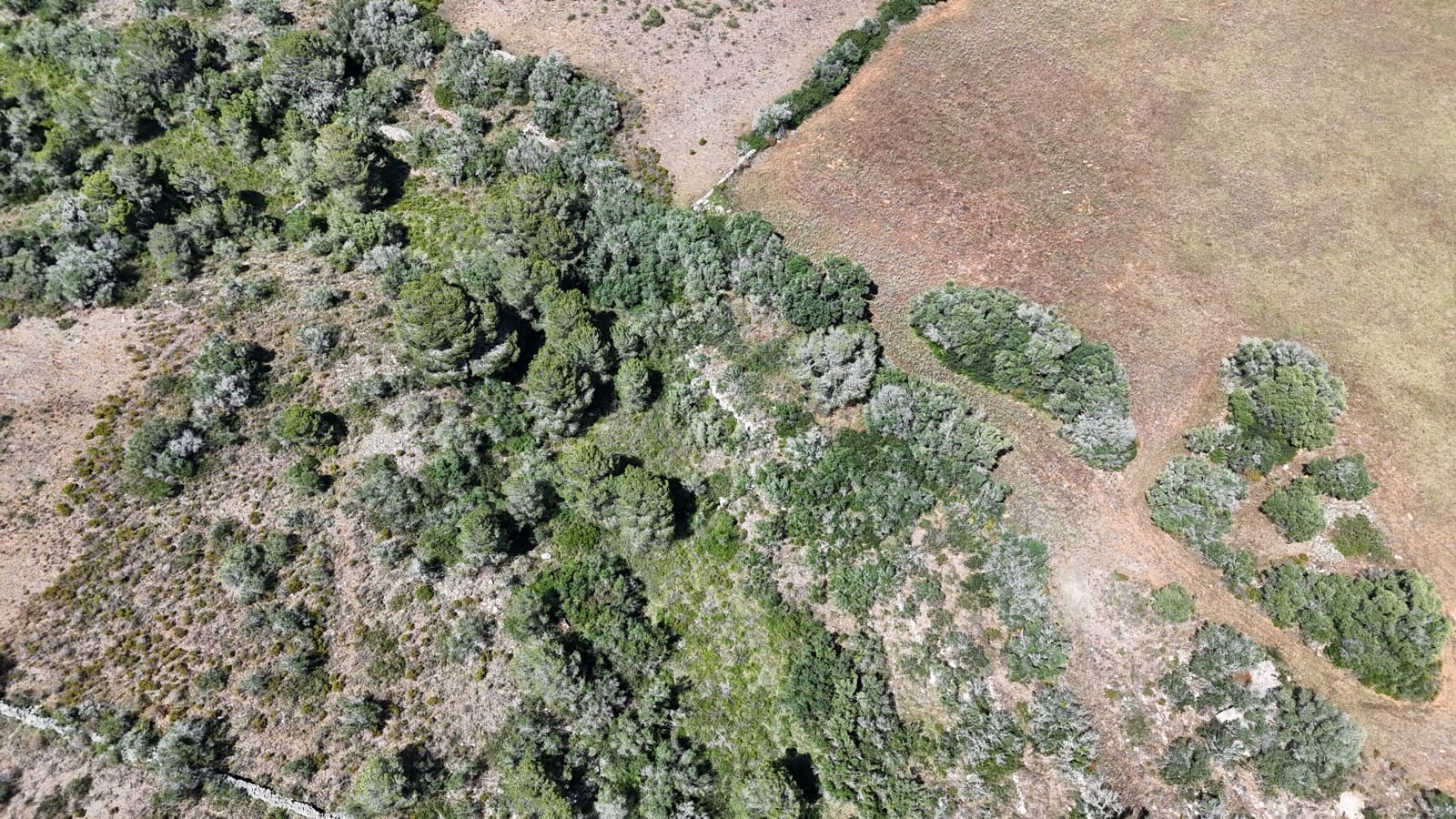 Undeveloped Land for sale in Cala Llombards - € 850,000 (Ref: 9833150)