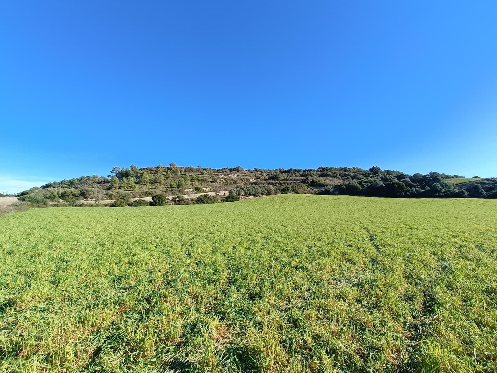 Grunde uden byggetilladelser til salg i Manacor - € 390.000 (Ref: 9840664)