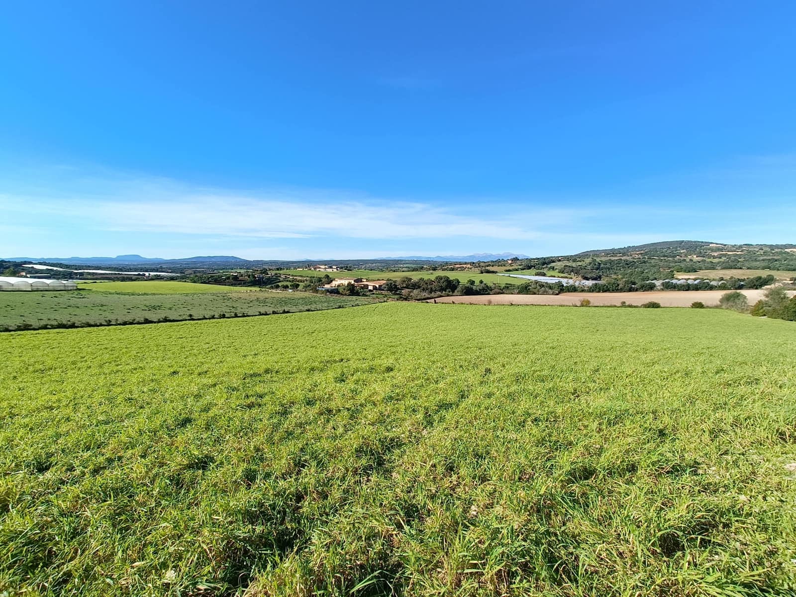 Grunde uden byggetilladelser til salg i Manacor - € 390.000 (Ref: 9840664)