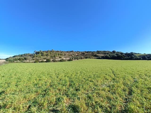 Grond te koop in Manacor - € 390.000 (Ref: 9840664)