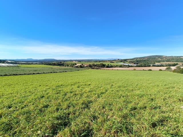 Grond te koop in Manacor - € 390.000 (Ref: 9840664)