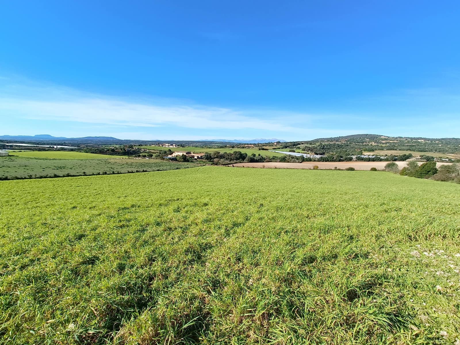 Grunde uden byggetilladelser til salg i Manacor - € 390.000 (Ref: 9840664)