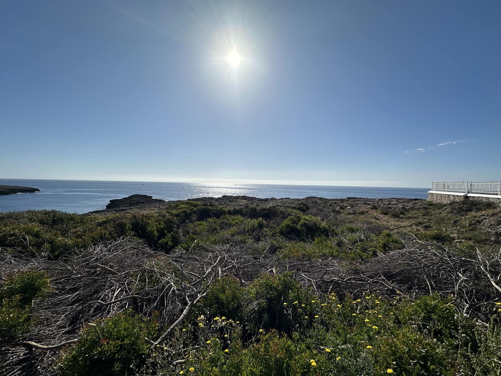 Undeveloped Land for sale in Santanyi - € 1,850,000 (Ref: 9840682)