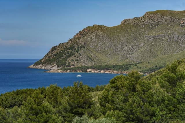Grond te koop in Colonia de Sant Pere / Colonia de San Pedro, Artà - € 999.000 (Ref: 9850086)