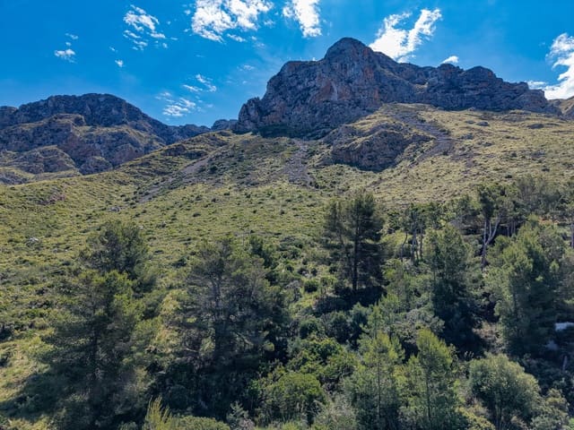 Grond te koop in Colonia de Sant Pere / Colonia de San Pedro, Artà - € 999.000 (Ref: 9850086)